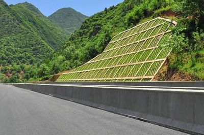 大庆高速公路边坡绿化