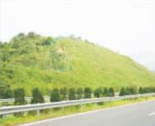 随岳高速公路边坡绿化、护坡绿化及边坡支护